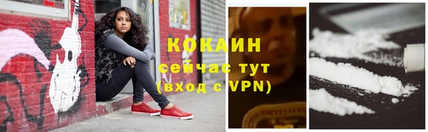 винт Абаза