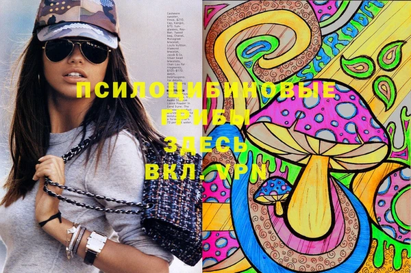 ГАЛЛЮЦИНОГЕННЫЕ ГРИБЫ Абинск